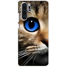 Чехлы с Котиками для Huawei P30 Pro (VPrint) (Глаз кота)