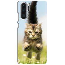 Чехлы с Котиками для Huawei P30 Pro (VPrint) (Прыжок кота)