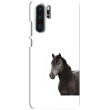 Чехлы с Лошадью дляHuawei P30 Pro (VPrint) (Чорний кінь)