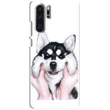 Чехлы с собаками для Huawei P30 Pro (VPrint) (Довольный Хаски)