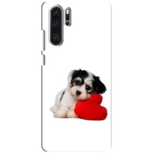 Чехлы с собаками для Huawei P30 Pro (VPrint) (Песик)