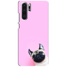 Чехлы с собаками для Huawei P30 Pro (VPrint) (Смешная собака)