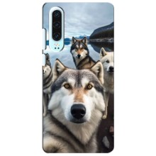 Чохол з Хаскі Huawei P30 - (AlphaPrint) (Селфі Хаскі)