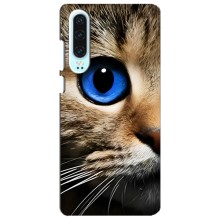 Чехлы с Котиками для Huawei P30 (VPrint) (Глаз кота)