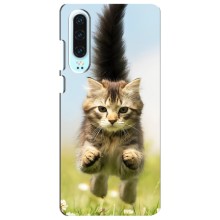 Чехлы с Котиками для Huawei P30 (VPrint) (Прыжок кота)