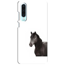 Чехлы с Лошадью дляHuawei P30 (VPrint) (Чорний кінь)