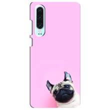 Чохли з собаками для Huawei P30 (VPrint) (Смішна собака)