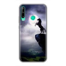 Чохли з зображенням різних тварин на Huawei P40 Lite e (Кінь)