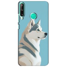 Чехол с Хаски для Huawei P40 Lite e - (AlphaPrint) (Хаски арт)