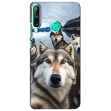 Чехол с Хаски для Huawei P40 Lite e - (AlphaPrint) (Селфи ХАски)