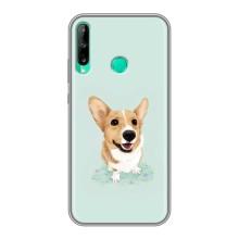 Чохли з собаками для Huawei P40 Lite e (VPrint) (Коргі)