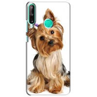 Чехол (ТПУ) Милые собачки для Huawei P40 Lite e – Собака Терьер