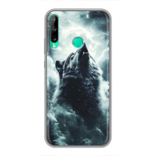 Чехол с картинкой «Хищники» для Huawei P40 Lite e