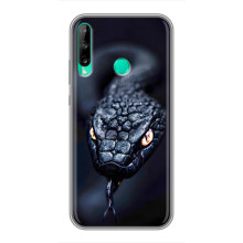 Чехол с картинкой «Хищники» для Huawei P40 Lite e – Змея