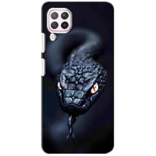 Чехол с картинкой «Хищники» для Huawei P40 Lite – Змея