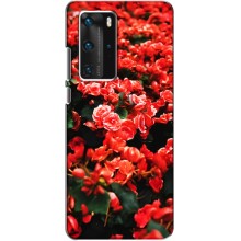 Чехлы с Цветами для Huawei P40 Pro (VPrint) (Цветы красные)