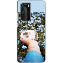 Чехлы с изображением разных животных для Huawei P40 Pro (Ежик на руках)