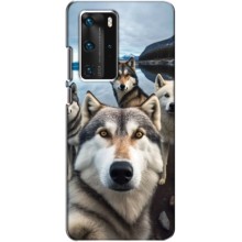 Чехол с Хаски для Huawei P40 Pro - (AlphaPrint) (Селфи ХАски)