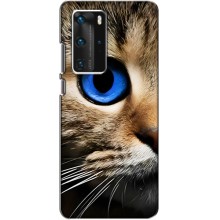 Чехлы с Котиками для Huawei P40 Pro (VPrint) (Глаз кота)