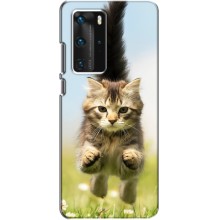 Чехлы с Котиками для Huawei P40 Pro (VPrint) (Прыжок кота)