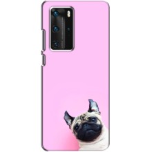 Чохли з собаками для Huawei P40 Pro (VPrint) (Смішна собака)