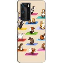 Чехол с Прикольным принтом на Huawei P40 Pro (Ёга свинок)
