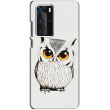 Чехол с птицами на Huawei P40 Pro (VPrint) (Милая Сова)