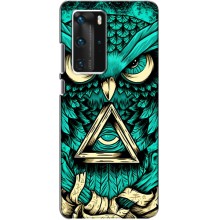 Чехол с птицами на Huawei P40 Pro (VPrint) (Сова с глазом)