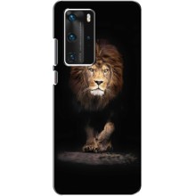 Чехол со Львом для Huawei P40 Pro (VPrint) (Лев)