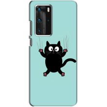 Чехол с милыми котиками на Хуавей П40 Про – Черный кот