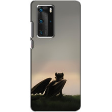 Чехол как приручить дракона на Huawei P40 Pro – Беззубик