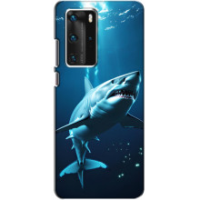 Чехол с картинкой «Хищники» для Huawei P40 Pro – Акула