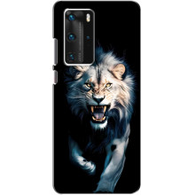 Чехол с картинкой «Хищники» для Huawei P40 Pro – Лев