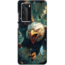 Чехол с картинкой «Хищники» для Huawei P40 Pro – Орёл