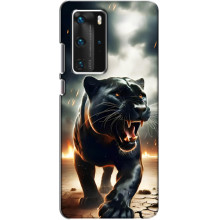 Чехол с картинкой «Хищники» для Huawei P40 Pro – Пантера