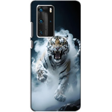 Чехол с картинкой «Хищники» для Huawei P40 Pro – Тигр
