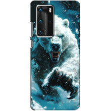 Чехол с картинкой «Хищники» для Huawei P40 Pro – Медведь
