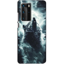 Чехол с картинкой «Хищники» для Huawei P40 Pro