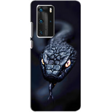 Чехол с картинкой «Хищники» для Huawei P40 Pro – Змея