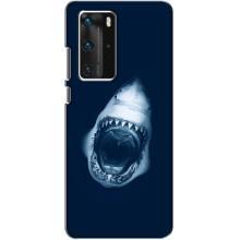 Силиконовый бампер с картинкой животных для Huawei P40 Pro (Пасть Акулы)
