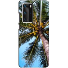 Силиконовый чехол с КАРТИНКАМИ лето для Huawei P40 Pro (AlphaPrint) (Пальма)