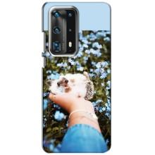 Чехлы с изображением разных животных для Huawei P40 (Ежик на руках)