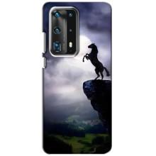 Чехлы с изображением разных животных для Huawei P40 (Лошадь)