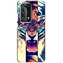 Чехлы с изображением разных животных для Huawei P40 (Яркий Тигр)