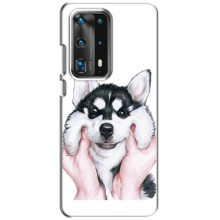 Чехол с Хаски для Huawei P40 - (AlphaPrint)