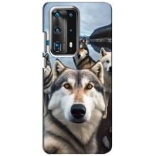 Чехол с Хаски для Huawei P40 - (AlphaPrint) (Селфи ХАски)