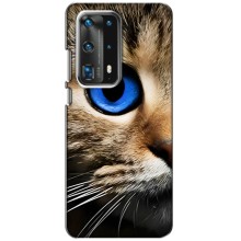 Чехлы с Котиками для Huawei P40 (VPrint) (Глаз кота)