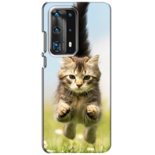 Чехлы с Котиками для Huawei P40 (VPrint) (Прыжок кота)