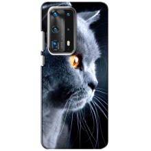 Чехлы с Котиками для Huawei P40 (VPrint) (Серый Кот)