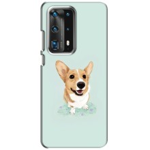 Чохли з собаками для Huawei P40 (VPrint) (Коргі)